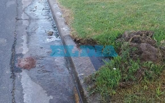 Aseguran que varios vecinos del barrio de 9 y 74 están sin agua por una pérdida enorme