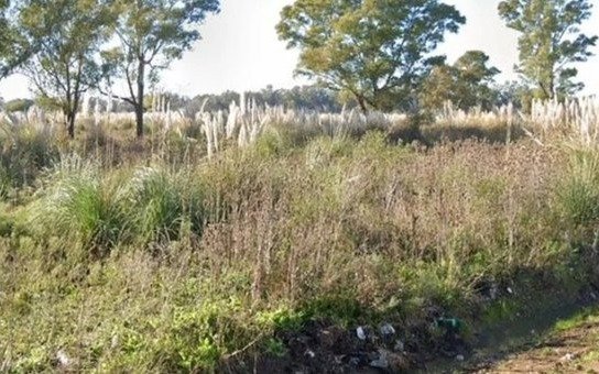 Encuentran el cadáver semidesnudo de otra mujer al costado de la autopista Ezeiza-Cañuelas