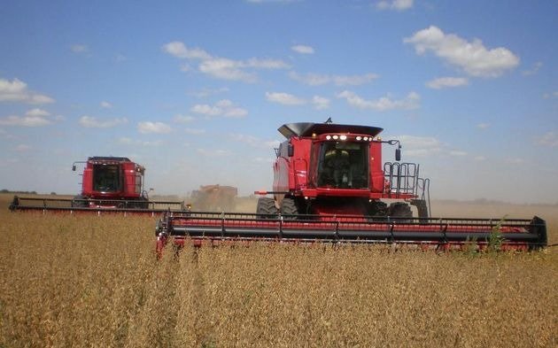 A más del 80% de los productores agropecuarios les preocupa el "clima político"