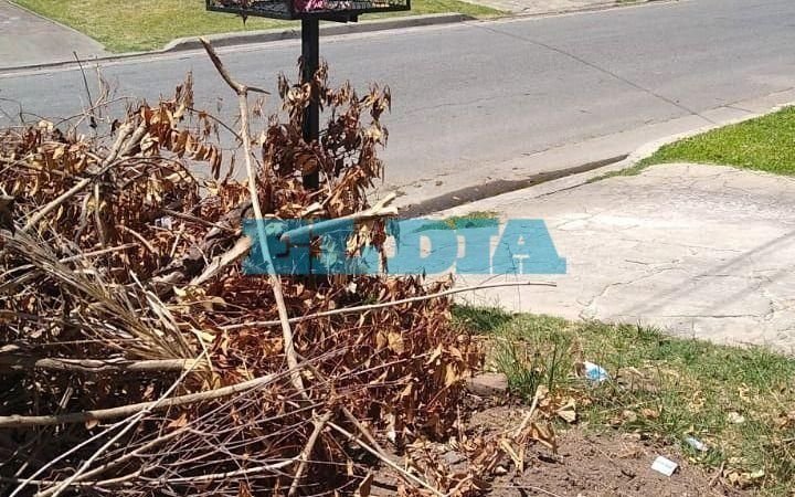 Se acumulan las ramas y los residuos no habituales en 484 entre 25 y 26