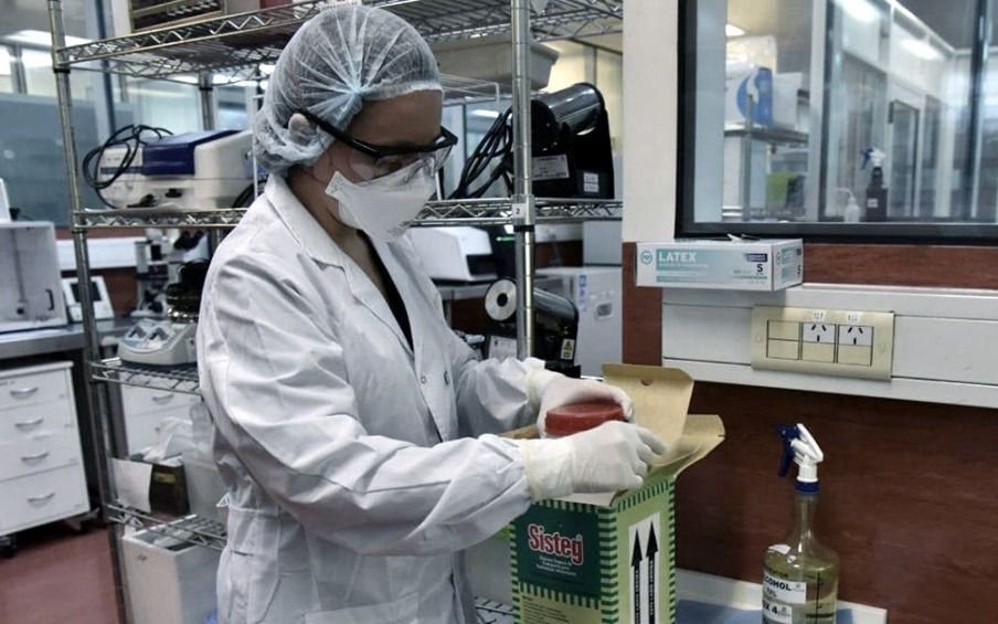 Más de 20 mil contagios de coronavirus en Argentina en las últimas 72 horas