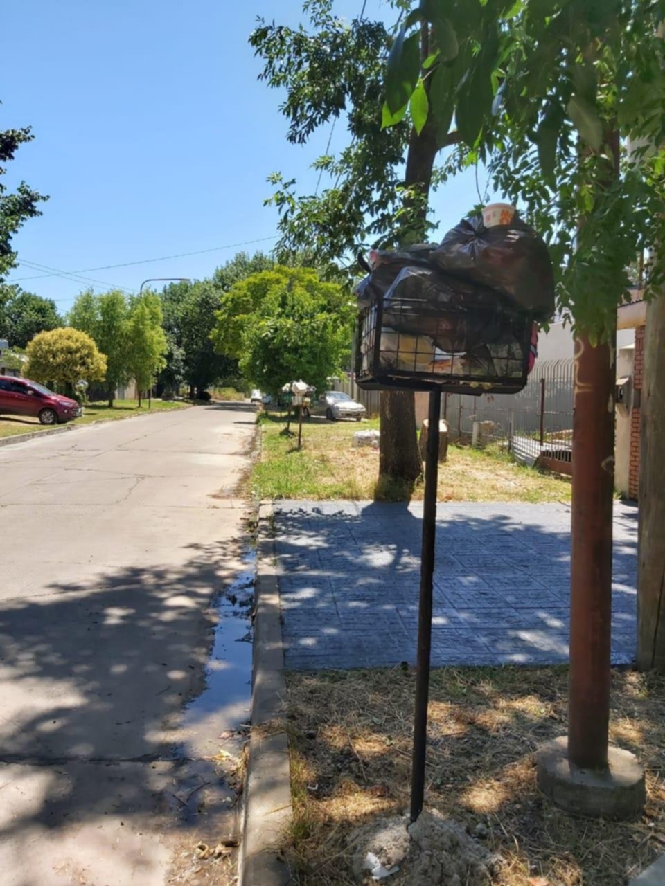 Hace 4 días que nadie retira los residuos en Hernández