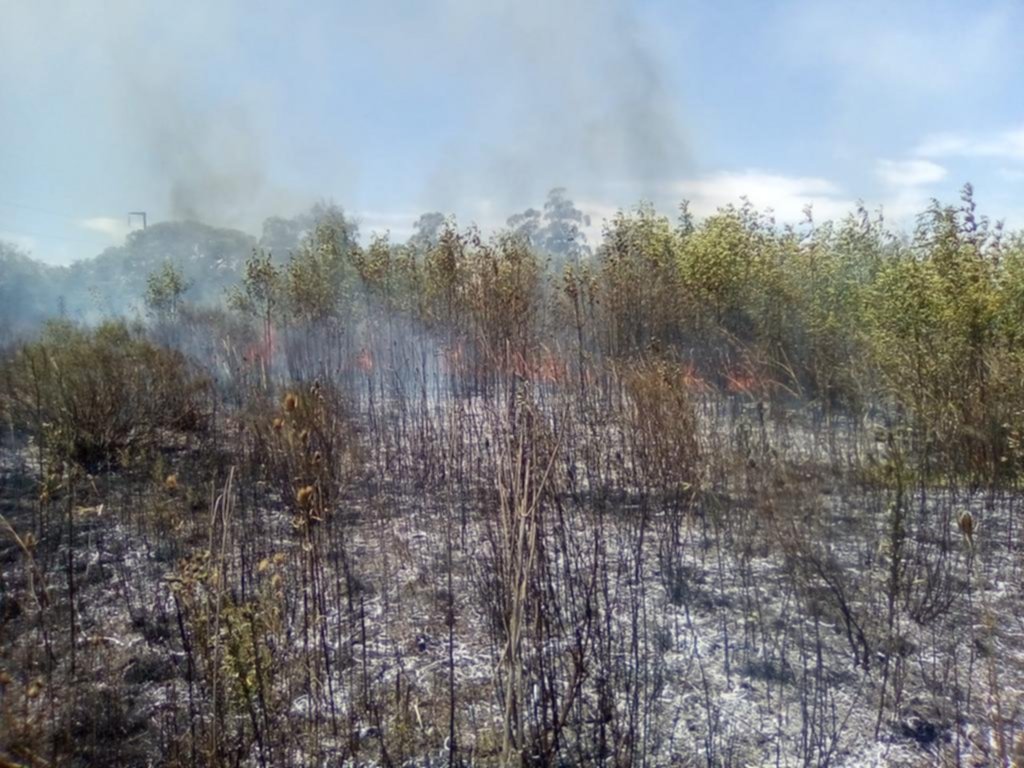 Arden pastizales por toda la periferia y los bomberos tienen un verano sin respiro