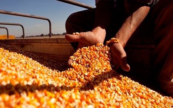 La Mesa de Enlace pasó a cuarto intermedio hasta mañana para definir acciones en rechazo al cierre de las exportaciones del maíz