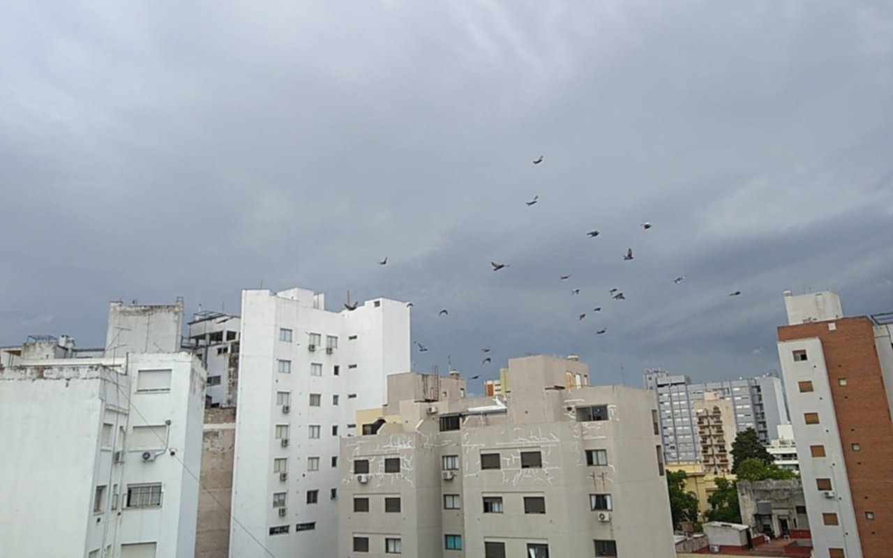 Se viene el agua: anuncian tormentas fuertes con ráfagas de viento