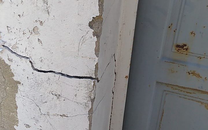Vecina de Barrio Hipódromo asegura que un árbol le está provocando rajaduras en toda su casa