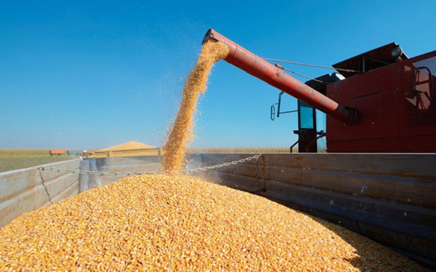 El campo parará por 72 horas en rechazo al cierre de las exportaciones del maíz