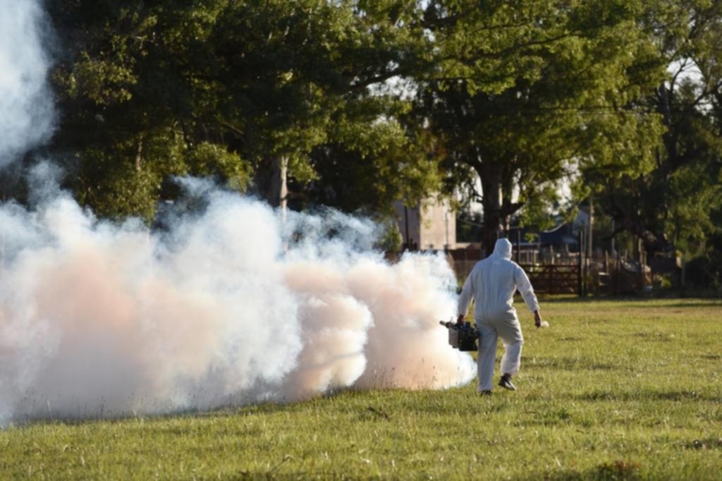 Refuerzan los operativos de fumigación para eliminar focos de dengue