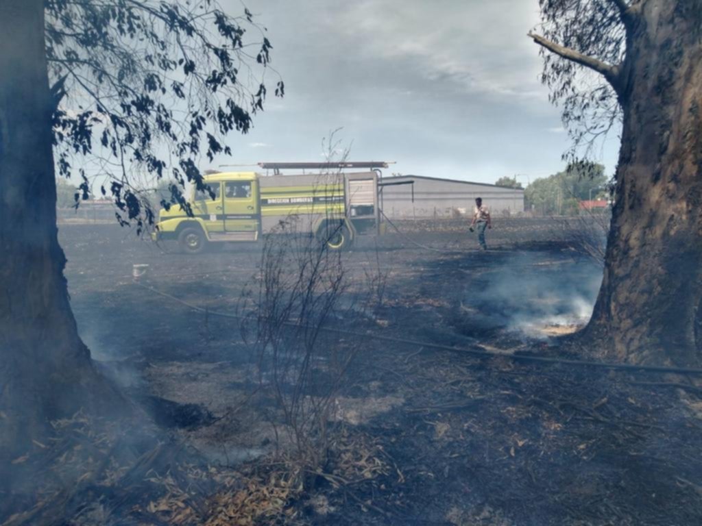 Los incendios de pastizales no frenan en la periferia platense
