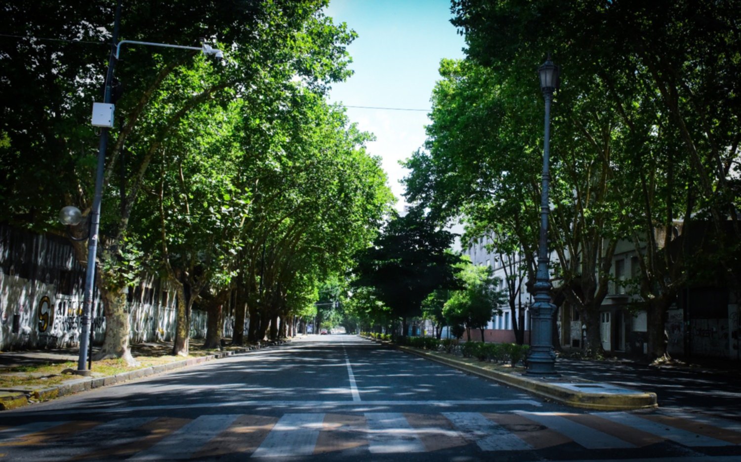 Domingo con cielo nublado y temperatura agradable en La Plata