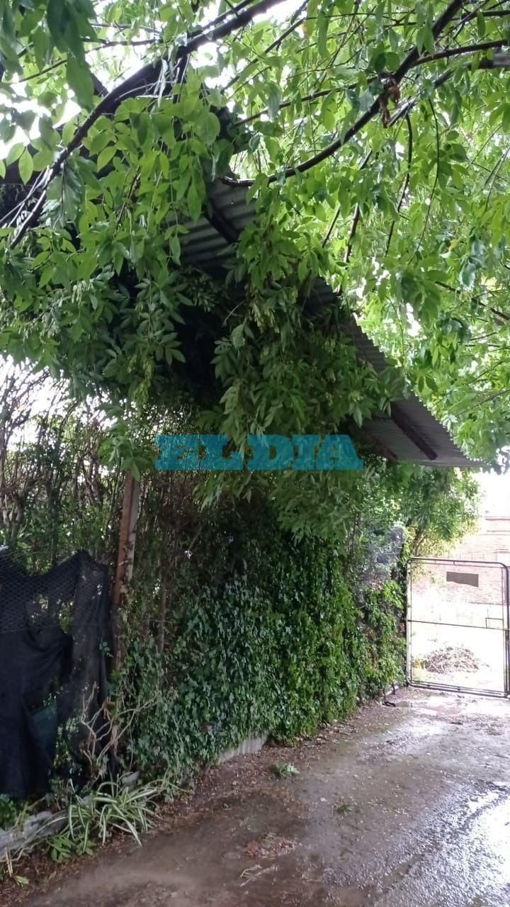 Abasto: por las fuertes ráfagas se voló un techo y terminó en la casa de un vecino