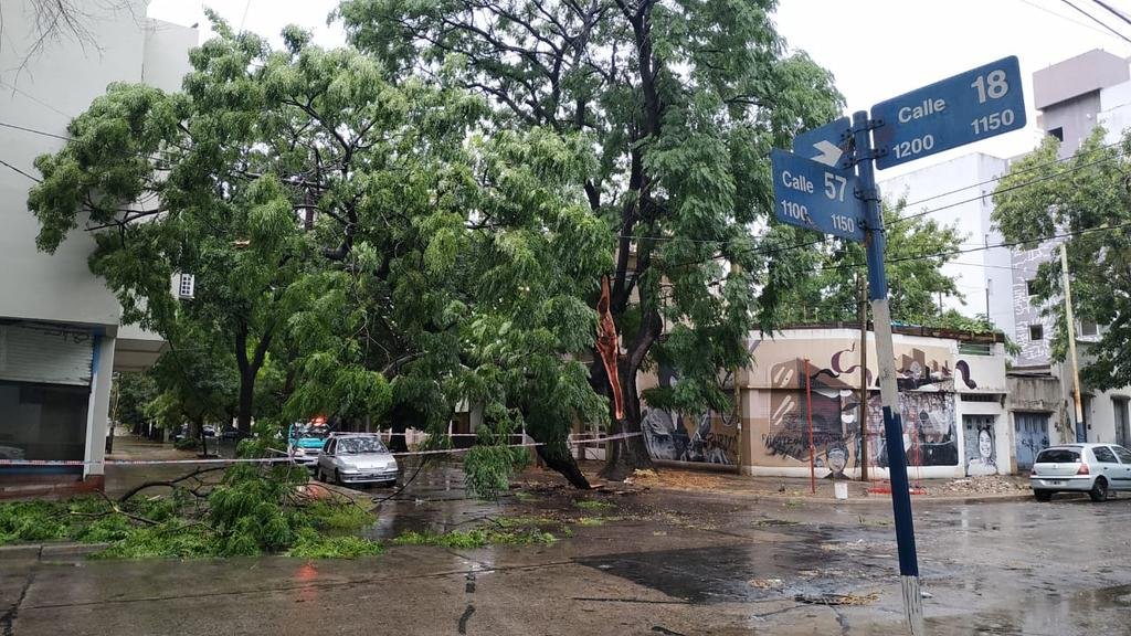 Una fuerte tormenta azotó a la región con voladura de techos, cortes de luz y calles anegadas