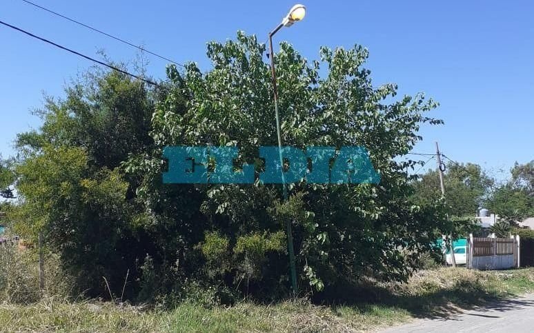 Denuncian que luminarias permanecen encendidas a toda hora en calle 518 y 165