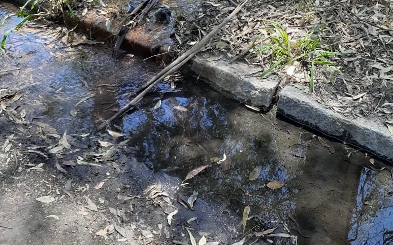 Quejas por una "eterna" pérdida de agua en el Bosque