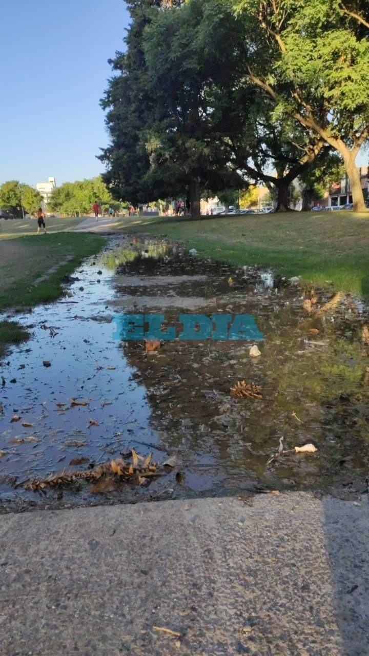 Temor en la zona de Parque Castelli por una laguna que "se convirtió en nido de mosquitos"