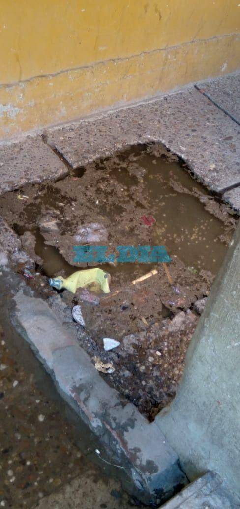 Angustia en un sector de Tolosa por un desborde cloacal que "pone en riesgo la salud"