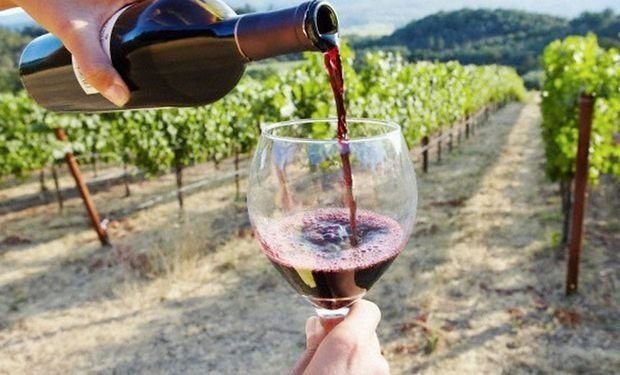 Balance positivo para las exportaciones argentinas de vino 