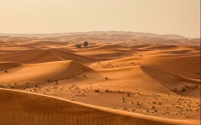 El sueño de la gran Muralla Verde del Sahara: de qué se trata