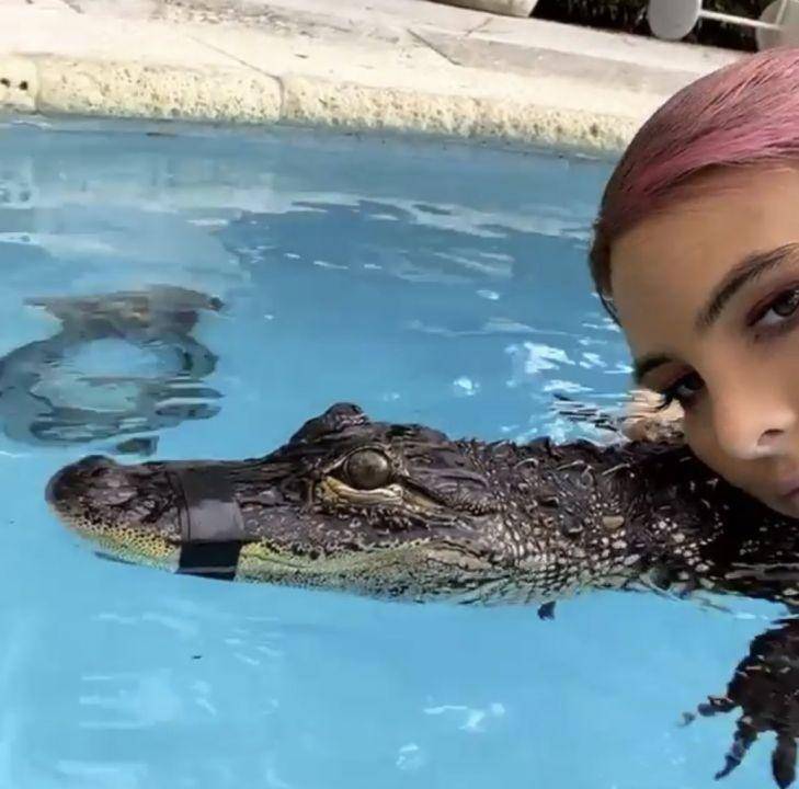 Stefi y Ricky, en medio de un escándalo por maltrato animal