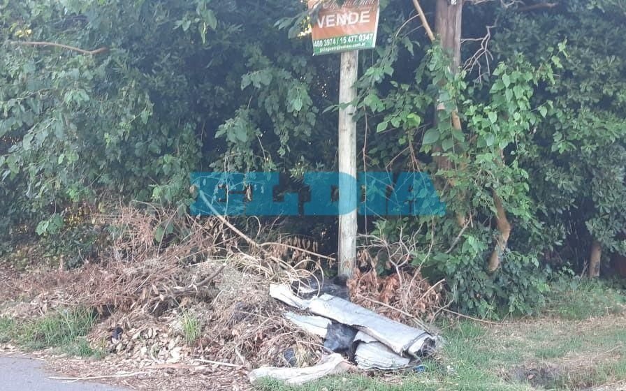 Hartazgo en City Bell por la acumulación de residuos no habituales