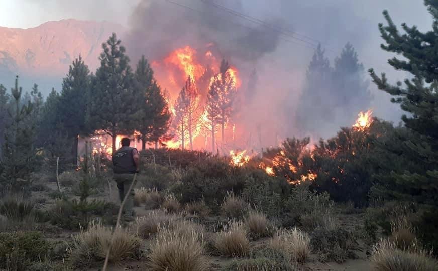 Grave daño ambiental por el incendio en el Bolsón, que se ...