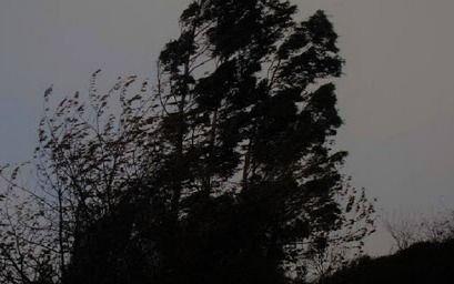 Establecen desde esta noche Riesgo Amarillo en la Ciudad por tiempo ventoso con ráfagas