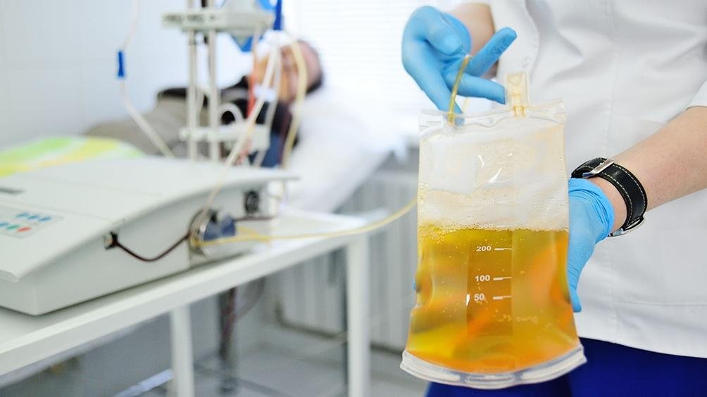 Definieron cuándo y en qué tipo de pacientes utilizar el plasma y el suero equino
