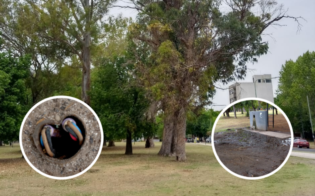 Denuncian abandono del Parque San Martín: robo de luminaria, pérdida de agua y baños inutilizables