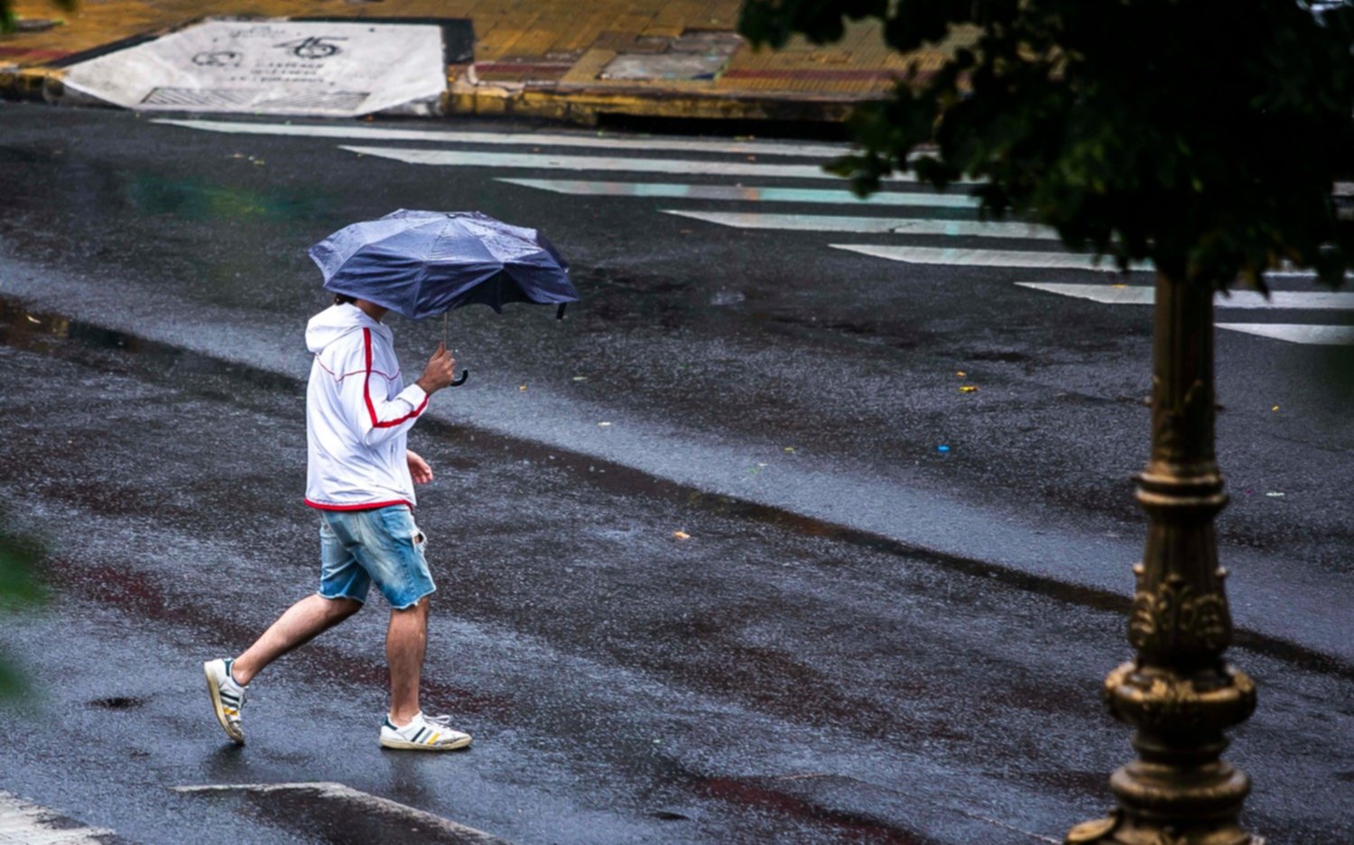 Un sábado para quedarse en casa: llueve en La Plata y sigue la alerta por ráfagas de viento
