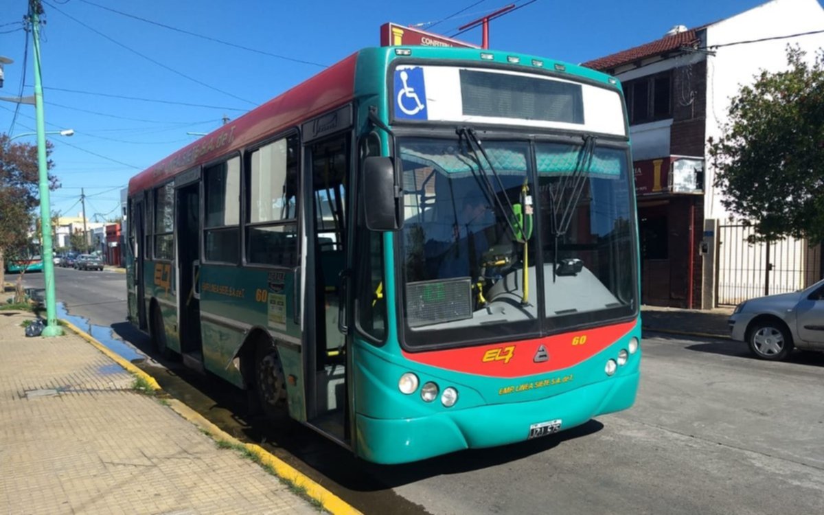 Paro de micros este domingo en La Plata tras violento ataque a dos choferes: a qué líneas afectará