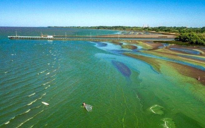 Alerta en las playas de la Región por cianobacterias