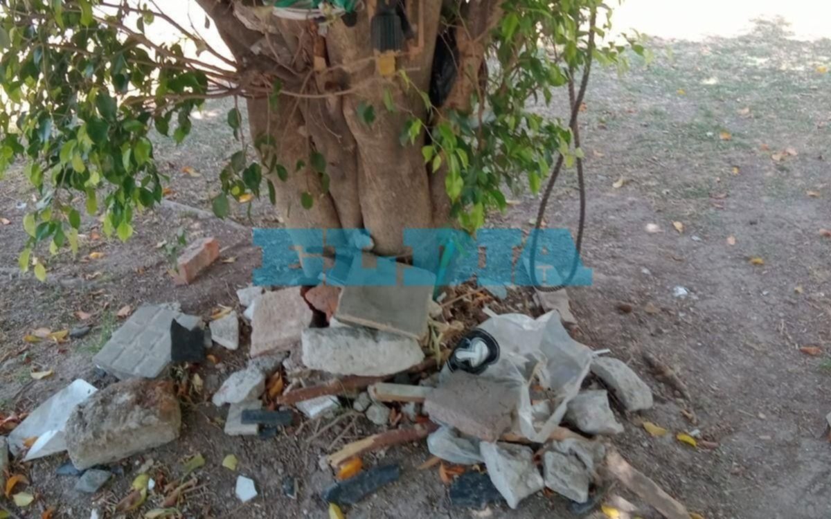 Con piedras y una gomera: así atacó a vecinos y autos un joven en Barrio Norte