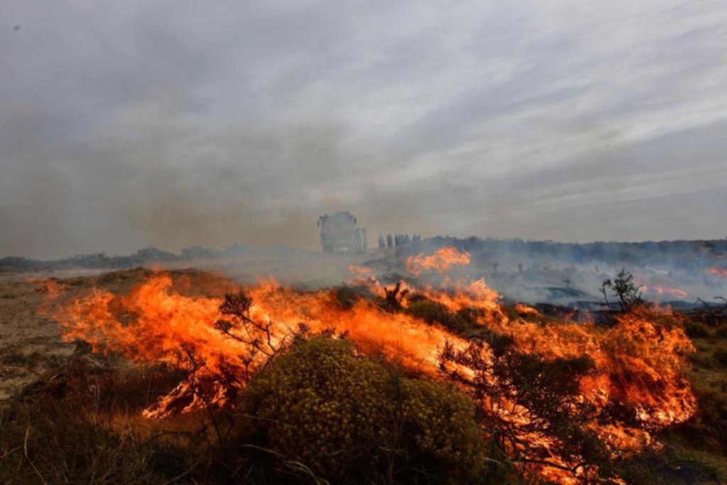 Fuego en Madryn: ya consumió 90.000 hectáreas