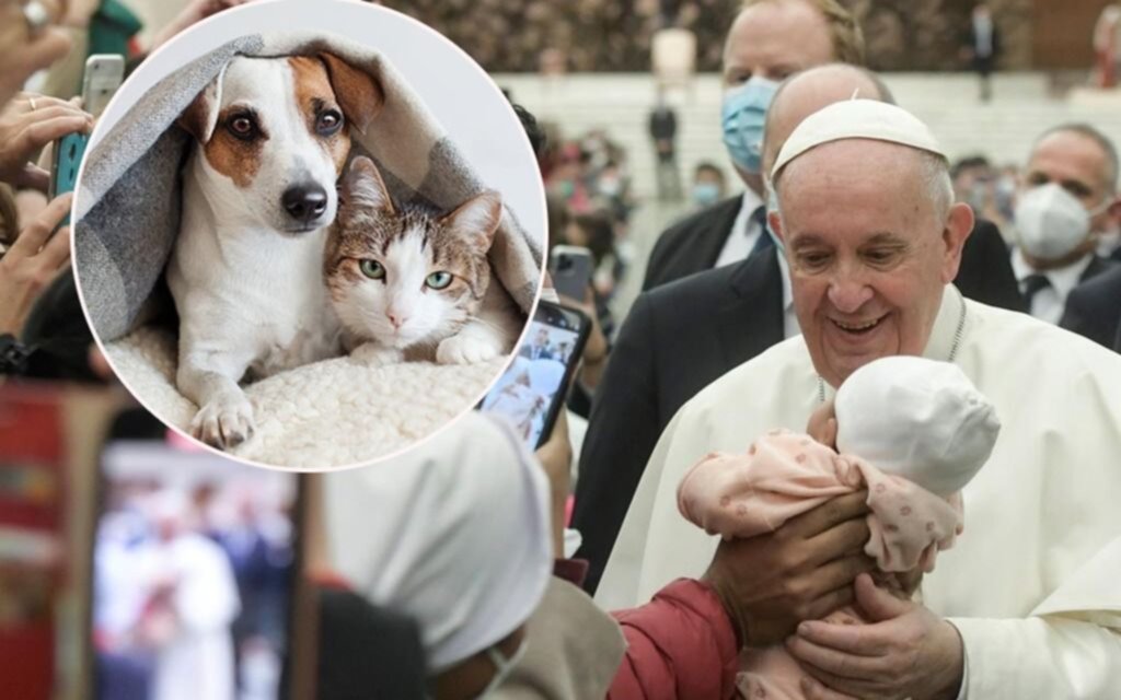 Dura crítica del Papa a las parejas que no quieren tener hijos pero "tienen perros y gatos”