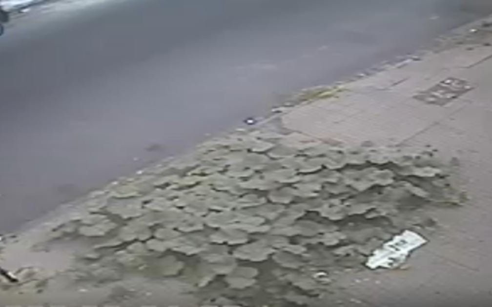 "Sembraron" zapallo en la vereda de 2 y 39: el asombro de los vecinos