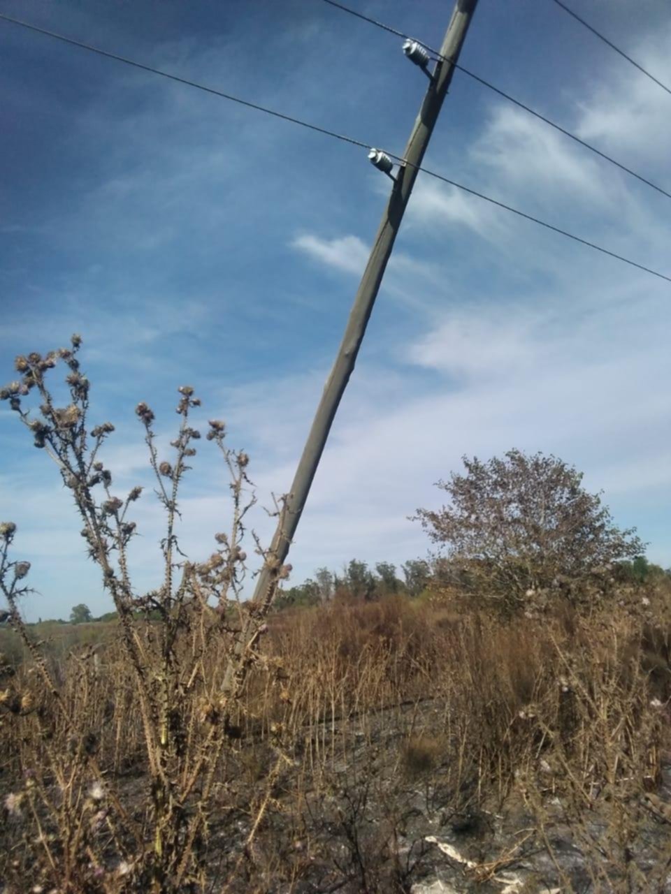 Peligro por dos postes de luz que están a punto de caer