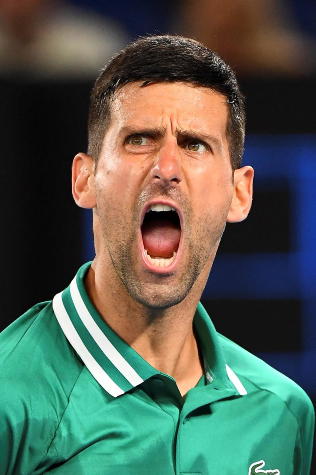 Nole espera conocer hoy la resolución judicial