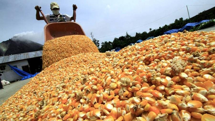 La Niña pone en riesgo las cosechas récords