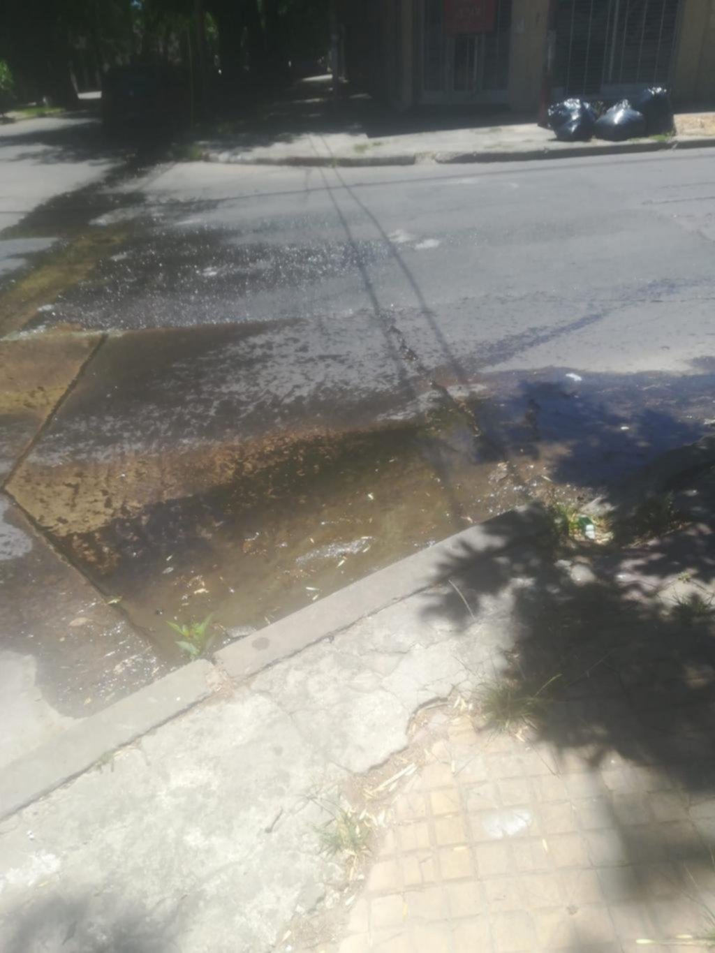 Reclamo por un cañería rota en 16 y 39
