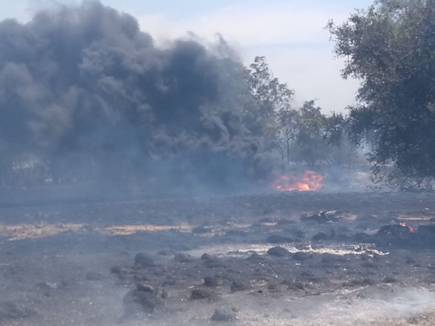 Los incendios de pastizales platenses, el otro drama de la sofocante ola de calor