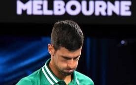 Ahora Djokovic admite errores y fallas en los certificados para entrar a Australia