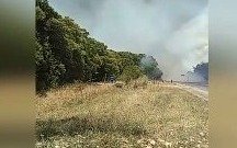 Abasto : los incendios se producen por "nuestra negligencia"