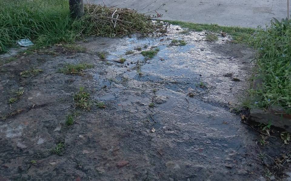Reclamo por abundante pérdida de agua en 20 y 69