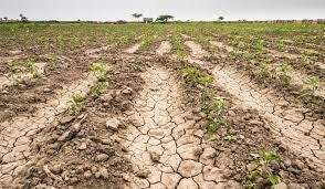 Por la sequía, pérdidas de U$S6.500 millones