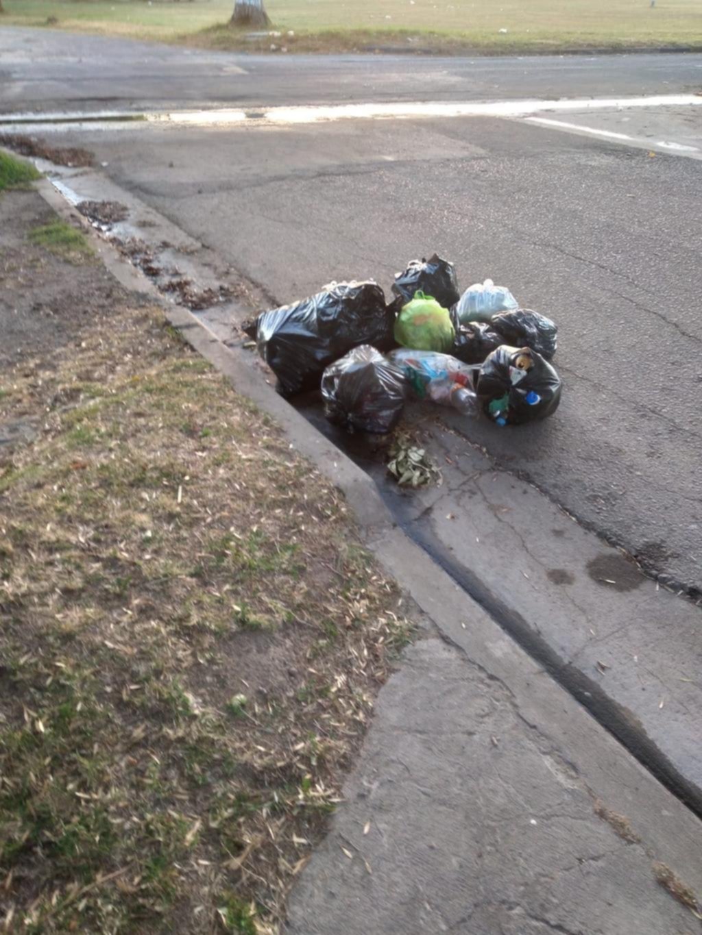 Queja por la acumulación de bolsas de residuos en la calle