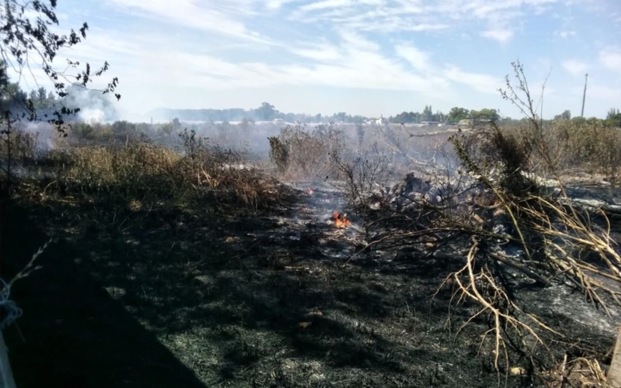 Acorralado por el fuego: ardieron campos de Melchor Romero, Olmos y Aeropuerto