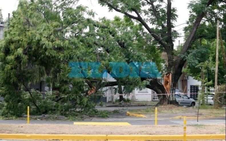 Complicaciones por la tormenta: vecinos reportan cortes de luz, caída de ramas y hasta un piquete