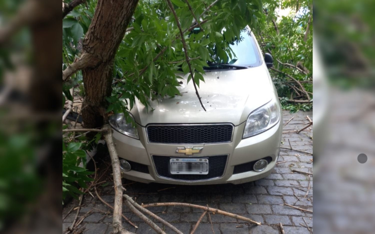 El temporal causó destrozos en 2 y 47