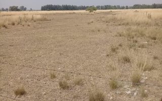 "La situación es muy preocupante"