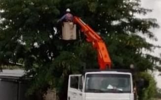 Quejas en Tolosa y Ringuelet por un corte de luz: se normaliza el servicio